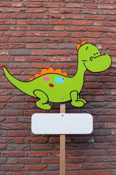 Geboortebord baby dino